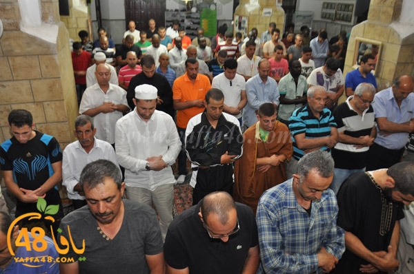 7san bek jsh (4).JPG